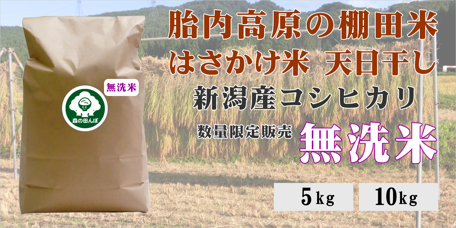 胎内高原の棚田米 はさかけ米 天日干し 新潟産コシヒカリ 限定販売 無洗米